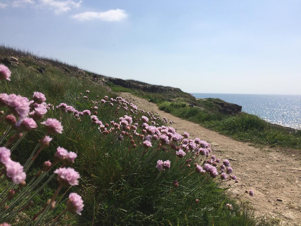 مبيت وإفطار Moëlan-sur-Mer La Belle Relax - Calme Et Tranquillite Assures - 2 Personnes المظهر الخارجي الصورة
