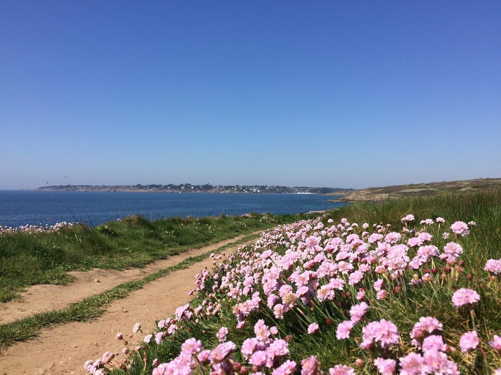 مبيت وإفطار Moëlan-sur-Mer La Belle Relax - Calme Et Tranquillite Assures - 2 Personnes المظهر الخارجي الصورة