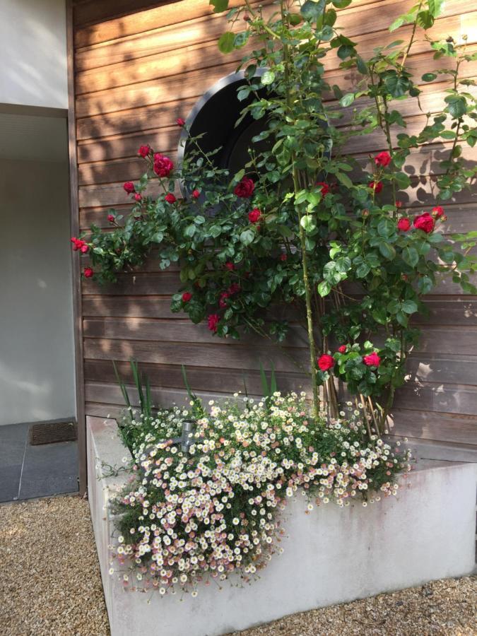 مبيت وإفطار Moëlan-sur-Mer La Belle Relax - Calme Et Tranquillite Assures - 2 Personnes المظهر الخارجي الصورة